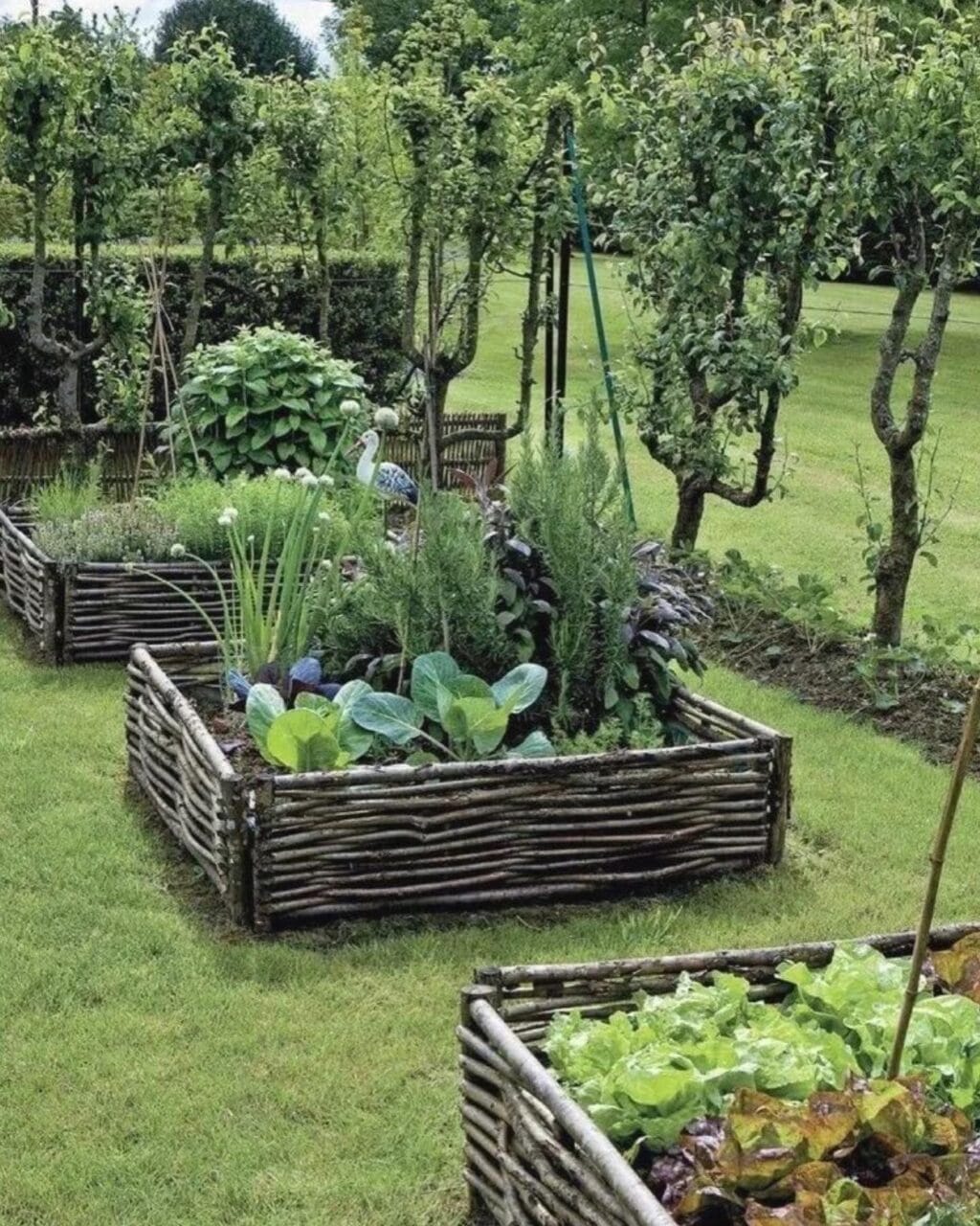 Servicii de peisagisticǎ urbanǎ la emisiunea Business Philosophy Servicii de peisagisticǎ urbanǎ la emisiunea Business Philosophy