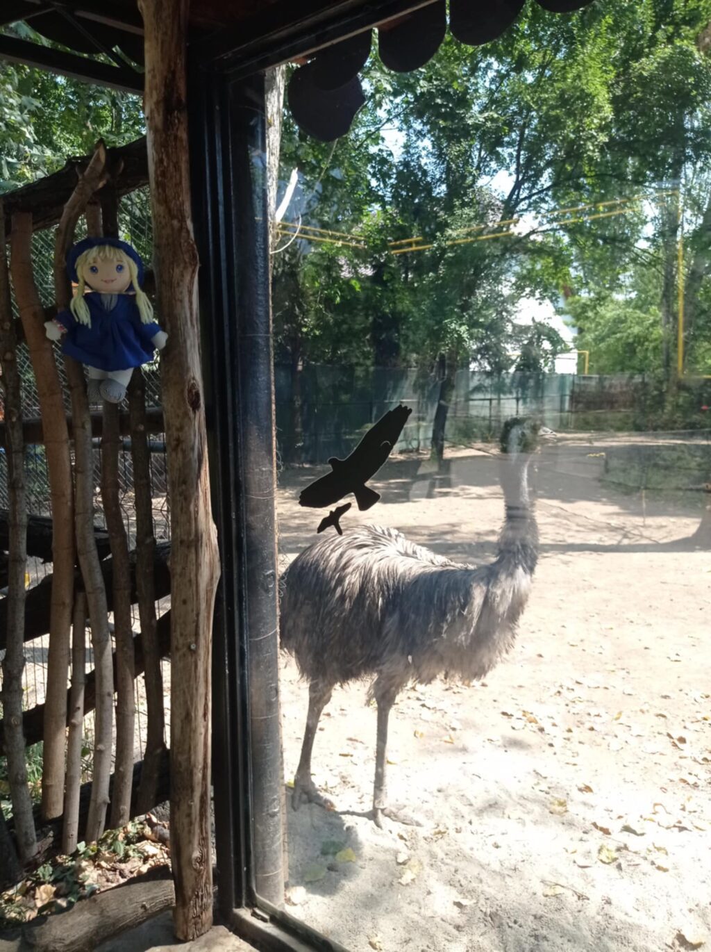 Apa preferată de tine şi animalele de la Zoo, la #focustogreenecolife