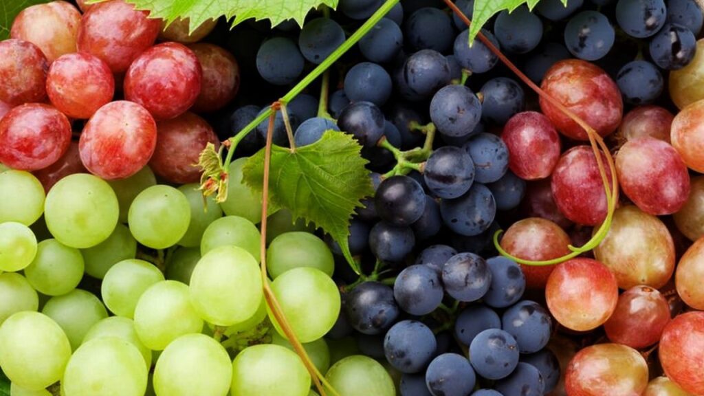 Octombrie cu „Săptămâna Altfel”, fructe și emoţii de toamnă la #Apecurateasumate Octombrie cu „Săptămâna Altfel”, fructe și emoţii de toamnă la #Apecurateasumate