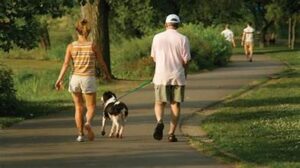 Hai să dăm startul la o zi funny de mers la plimbare cu #focustogreenecolife