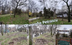 Solidaritatea dintre om şi natură se transformă ȋn responsabilitate la “Focus to green eco life”