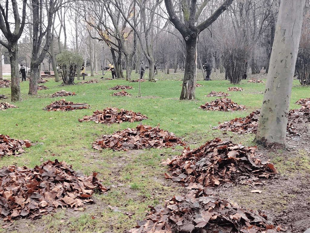 Apa deschide uşa solidarităţii om-natură, prin #focustogreenecolife